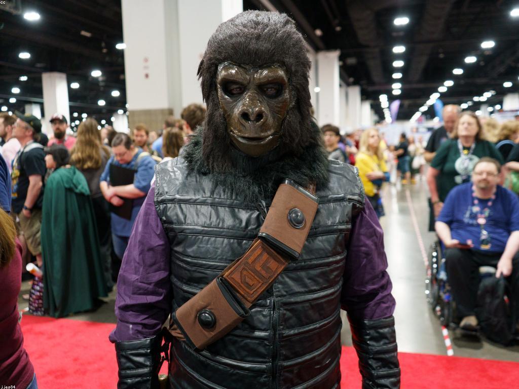 យុទ្ធសាស្ត្រការប្រកួតប្រជែងក្នុងព្រឹត្តិការ